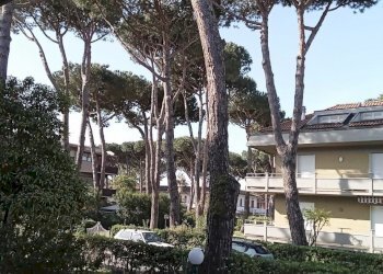 02.jpg - Appartamento Via Montecatini, Massa - foto 2