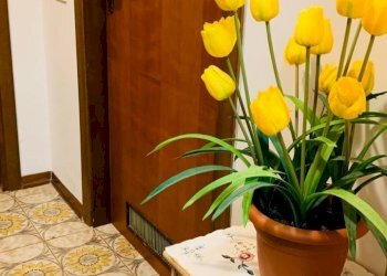 21.jpg - Appartamento Via Montecatini, Massa - foto 21