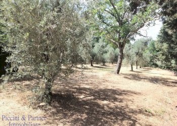 05.jpg - Casale 342W+VM Panicale, Panicale - foto 5