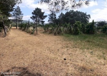 06.jpg - Casale 342W+VM Panicale, Panicale - foto 6