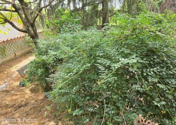 22.jpg - Terratetto - Terracielo Via Santa Maria, Castiglione del Lago - foto 22