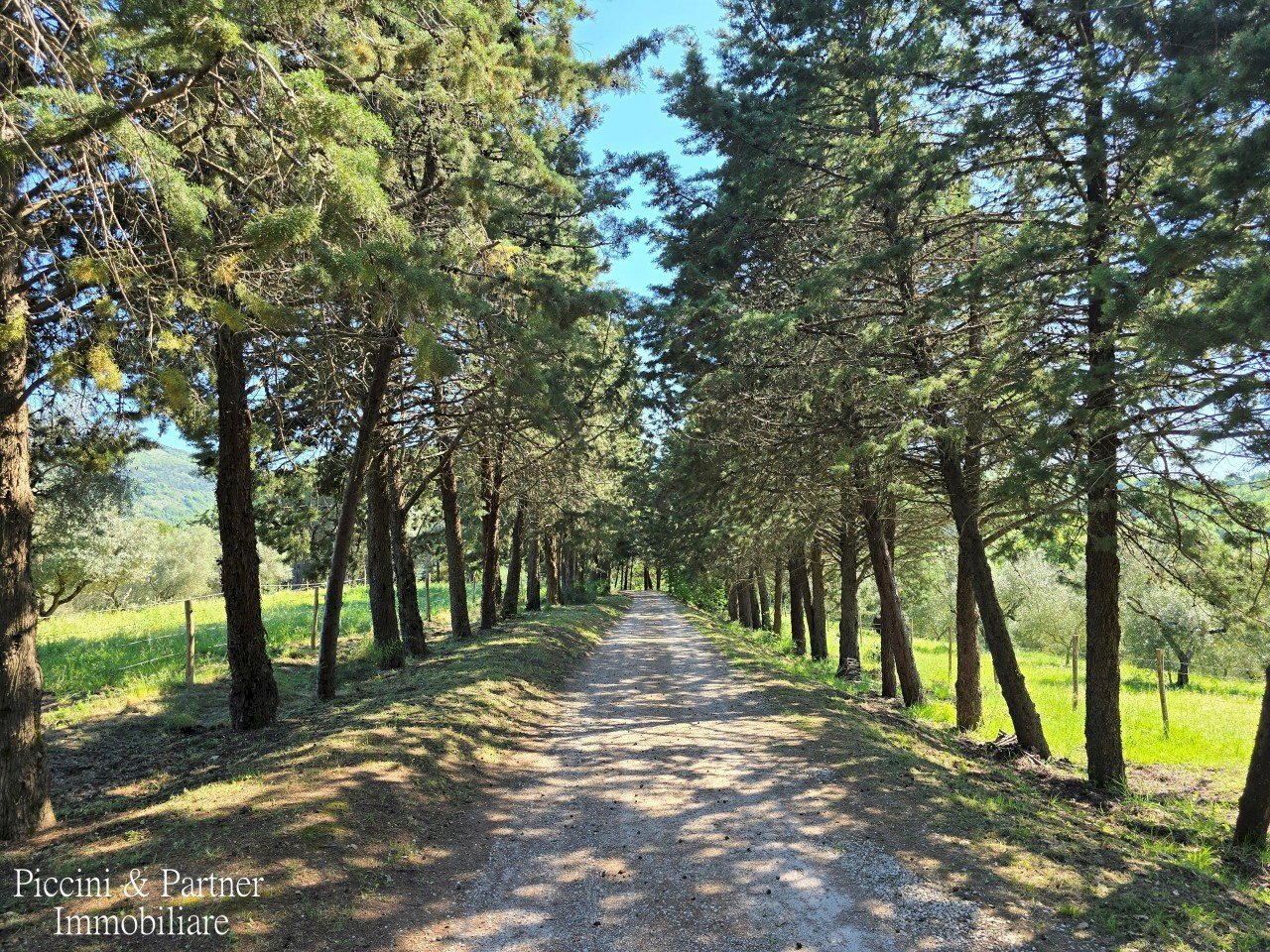 02.jpg - Casale Migianella, Umbertide - photo 3