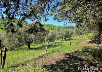 04.jpg - Casale Migianella, Umbertide - foto 5