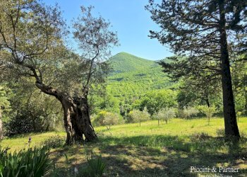 05.jpg - Casale Migianella, Umbertide - foto 6