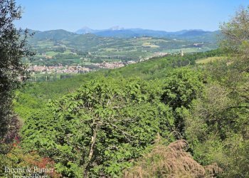 11.jpg - Casale Migianella, Umbertide - foto 12