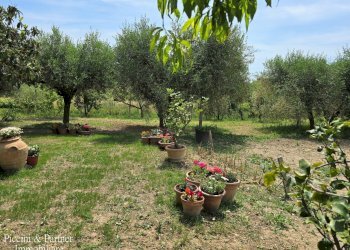 03.jpg - Apartment Via Pablo Neruda 2, Corciano - photo 3