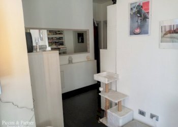 19.jpg - Attico Viale XX Settembre  5, Carrara - foto 19