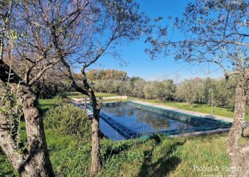 06.jpg - Agriturismo Località San Lorenzo, Castel Ritaldi - foto 6