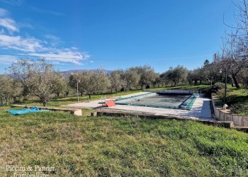 08.jpg - Agriturismo Località San Lorenzo, Castel Ritaldi - foto 8