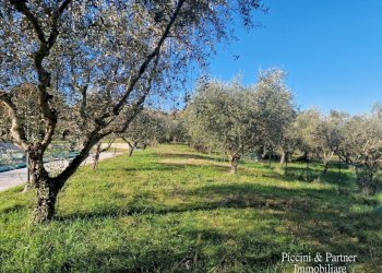 09.jpg - Agriturismo Località San Lorenzo, Castel Ritaldi - foto 9