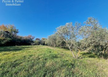 10.jpg - Agriturismo Località San Lorenzo, Castel Ritaldi - foto 10