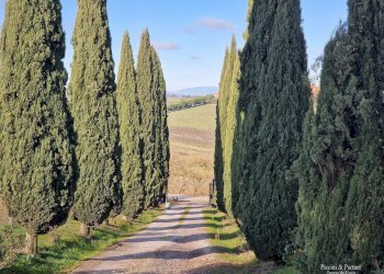 07.jpg - Villa Via Gozzano Vocabolo Giorgi, Castiglione del Lago - foto 7