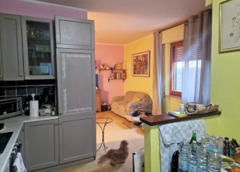 08.jpg - Appartamento Strada Ponte Rio Ponte Pattoli 55, Perugia - foto 8