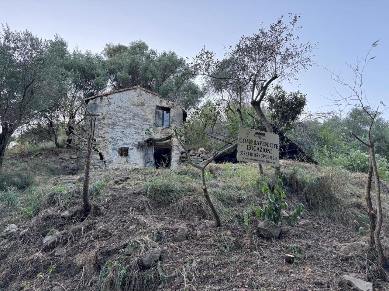 IMG-20250707-WA0074.jpg - Rustic Via Val D'Olivi 185, Sanremo - photo 1