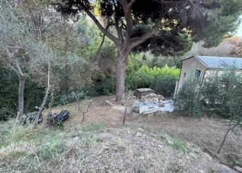 IMG-20250707-WA0059.jpg - Rustico Via Val D'Olivi 185, Sanremo - foto 9