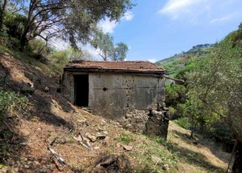 IMG-20250705-WA0036.jpg - Rustico Via Val D'Olivi 185, Sanremo - foto 11