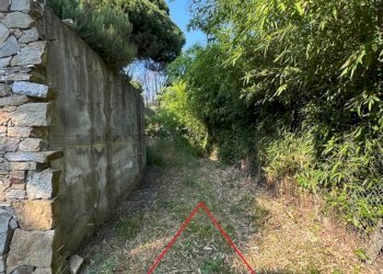 IMG-20250622-WA0001.jpg - Rustico Via Val D'Olivi 185, Sanremo - foto 25