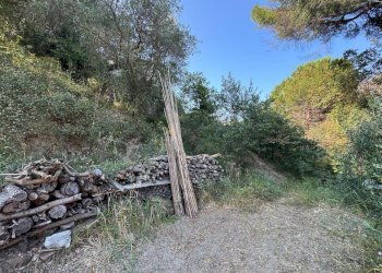 IMG-20250622-WA0019.jpg - Rustico Via Val D'Olivi 185, Sanremo - foto 27