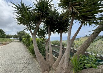 Castellaro Villa - Independent house Via Gramegna 7, Castellaro - photo 6