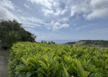 Castellaro Villa - Independent house Via Gramegna 7, Castellaro - photo 7