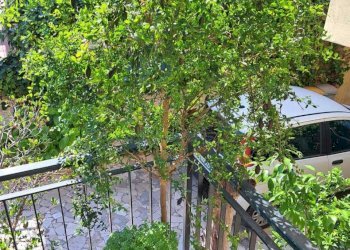 2487b0b9-0128-40fd-8f62-467db206b70d.jpg - Villa Lanciano - foto 11