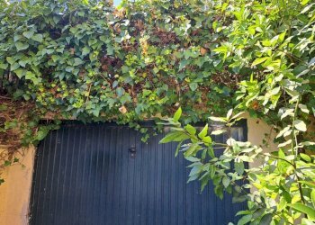 4c9e729b-657a-462f-b0f9-dd35ae793193.jpg - Villa Lanciano - foto 26