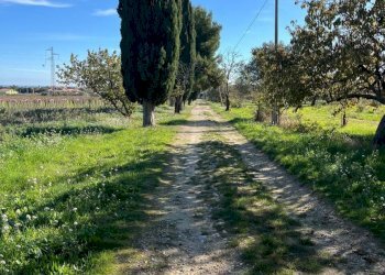 IMG-20251114-WA0092.jpg - Casale C.DA SAN GIACOMO 39, Rocca San Giovanni - foto 4