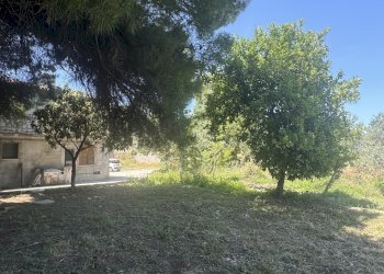 IMG_4667.JPG - Casa semi indipendente Via Lascianna 9, Roccascalegna - foto 7