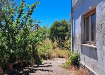 fe97ac31-ece3-4005-8b03-9e9089ed9836.jpg - Casale STRADA P. MEDIANA 51, Fossacesia - foto 5