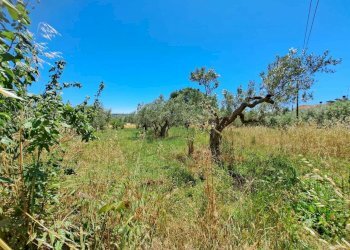 1b223320-ca64-40d6-917f-d9386b163177.jpg - Casale STRADA P. MEDIANA 51, Fossacesia - foto 10