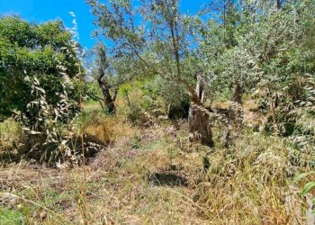 a7b27b97-5759-405a-b88e-bc9aa971ee1c.jpg - Casale STRADA P. MEDIANA 51, Fossacesia - foto 16