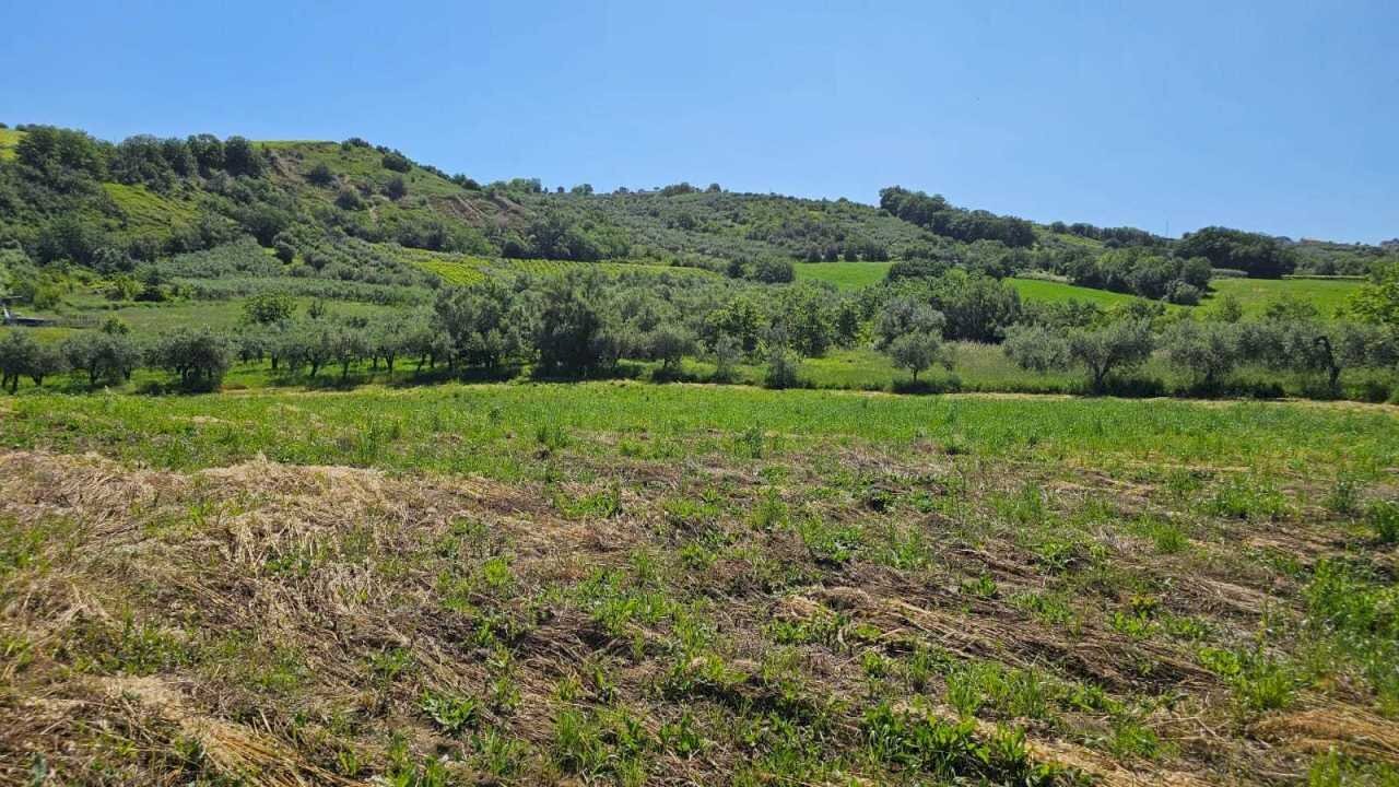 3e698ac3-edee-4374-abb5-1ef40b13f9ef.jpg - Terreno agricolo Via Ciommi, Castel Frentano - foto 1