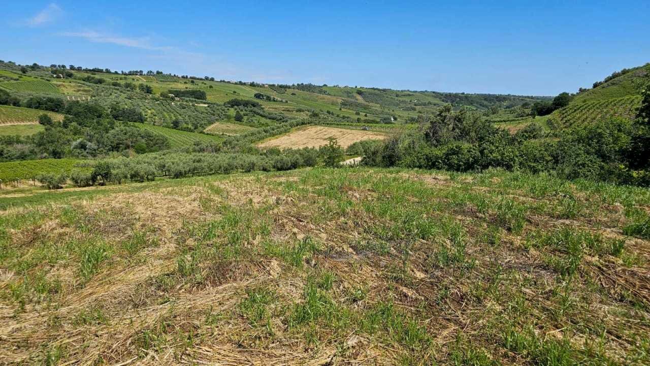 3ee0d19a-64ec-44ac-b534-140b039a5491.jpg - Terreno agricolo Via Ciommi, Castel Frentano - foto 2