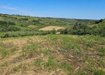 3ee0d19a-64ec-44ac-b534-140b039a5491.jpg - Terreno agricolo Via Ciommi, Castel Frentano - foto 2