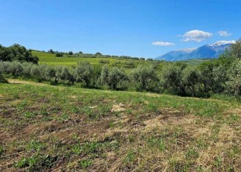 059fcce3-b0fc-413f-974b-09e5884262cb.jpg - Terreno agricolo Via Ciommi, Castel Frentano - foto 5