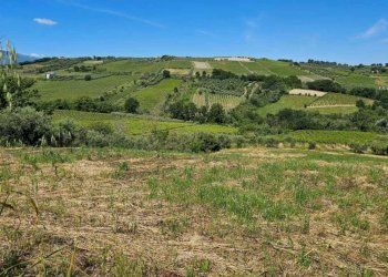 00989458-7d79-427a-a77a-5b9457ec8ef0.jpg - Terreno agricolo Via Ciommi, Castel Frentano - foto 6