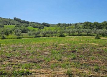 27594826-62a5-42b2-9ca9-d73cb6123583.jpg - Terreno agricolo Via Ciommi, Castel Frentano - foto 7