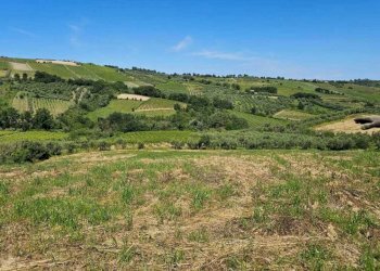 e14ce119-61e9-45c8-a805-6ac6edd65c46.jpg - Terreno agricolo Via Ciommi, Castel Frentano - foto 10