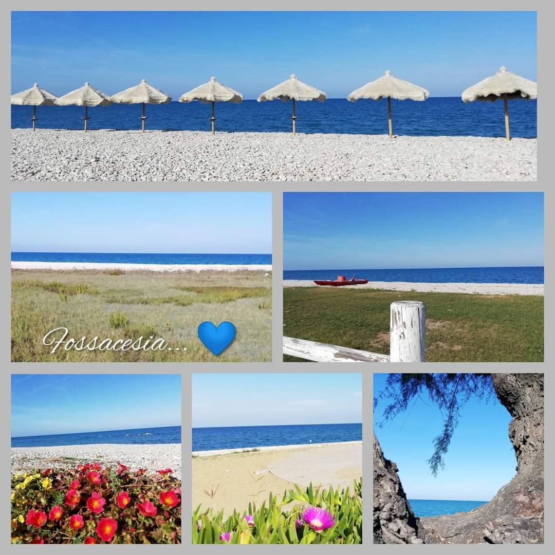 Immagine WhatsApp 2024-02-22 ore 13.27.12_cd46ffa2 - Building land Strada Statale 16 Adriatica 89, Fossacesia - photo 3