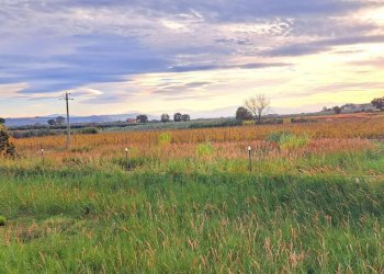 2b2de102-5184-46e8-a0a1-524588267c5f.jpg - Terreno edificabile Strada Statale 16 Adriatica 89, Fossacesia - foto 1