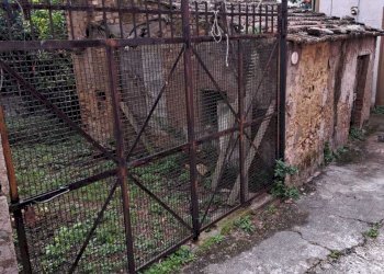 IMG-20241002-WA0168.jpg - Terratetto - Terracielo Vico Municipio 1, Santa Maria Imbaro - foto 13