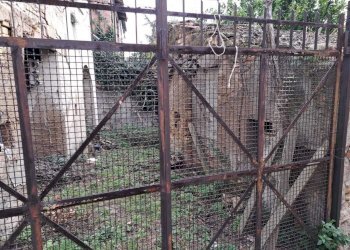 IMG-20241002-WA0170.jpg - Terratetto - Terracielo Vico Municipio 1, Santa Maria Imbaro - foto 15