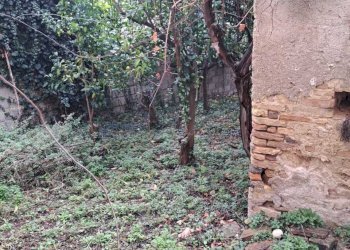 IMG-20241002-WA0175.jpg - Terratetto - Terracielo Vico Municipio 1, Santa Maria Imbaro - foto 19