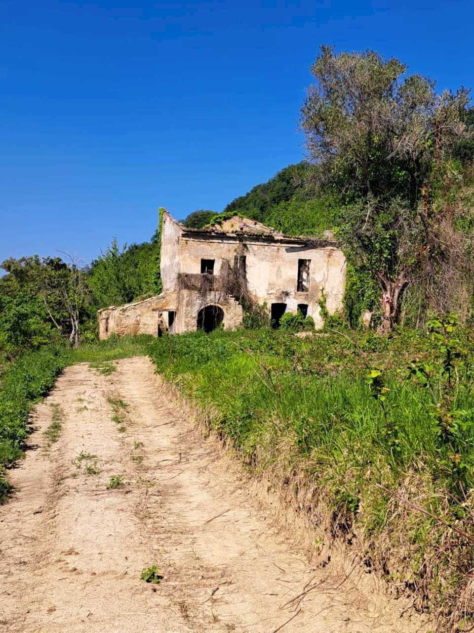 8d5b236b-cd5f-40be-85d8-861f6f9ea357.jpg - Casale C.DA CASTELLANA, Treglio - foto 1