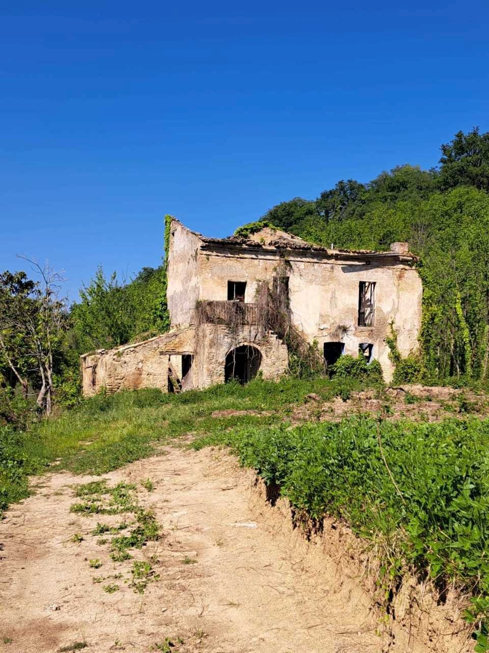 49dba21e-7ec7-4912-ab92-e12bda2a0500.jpg - Casale C.DA CASTELLANA, Treglio - foto 3