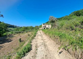 12772c91-23cc-4aa9-8e24-98049d40ce3b.jpg - Casale C.DA CASTELLANA, Treglio - foto 4