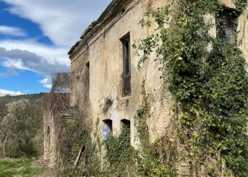 75dbd429-7cf7-4468-8019-8fab896a18fe.jpg - Casale C.DA CASTELLANA, Treglio - foto 6