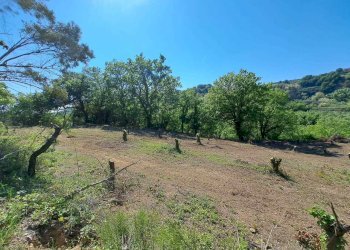 f1bcf378-5521-43ab-93c3-dc943d142103.jpg - Casale C.DA CASTELLANA, Treglio - foto 8