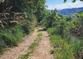 d03202b7-473f-4a19-866c-f93b0c664821.jpg - Casale C.DA CASTELLANA, Treglio - foto 9