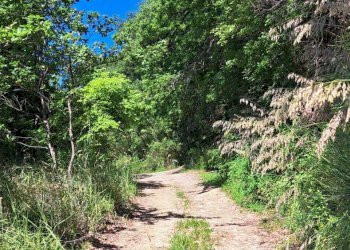 f1f614fa-f598-4341-a52d-fb3645df0134.jpg - Casale C.DA CASTELLANA, Treglio - foto 12